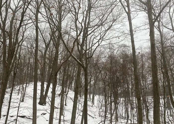 The Sanctuary At Deer Dune , Saugatuck
